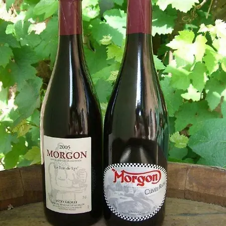 Le Pot De Vin Casa de Férias *