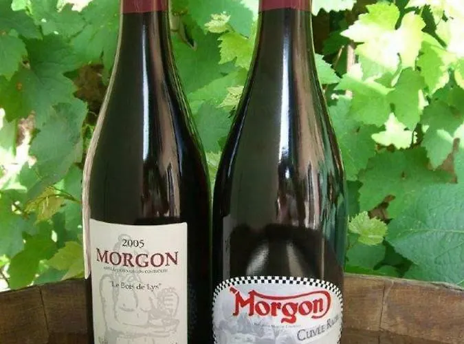 Le Pot De Vin Casa vacanze *