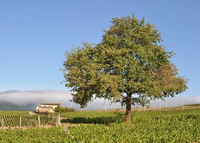 Le Pot De Vin *